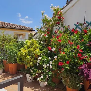 Descalzos Angel With Private Terrace Free Parking Appartement Ronda